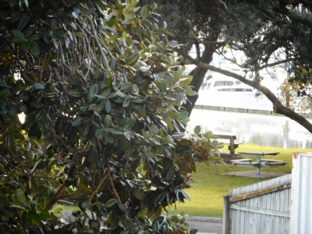 Apartment By The Marina Whitianga Exterior photo